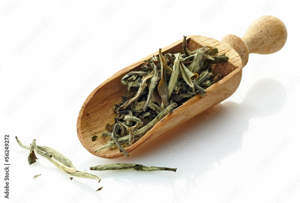 木勺配绿茶拍木弹