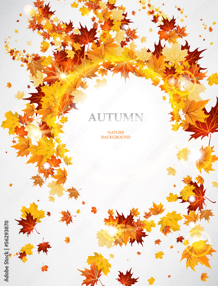 抽象的秋天背景与树叶
