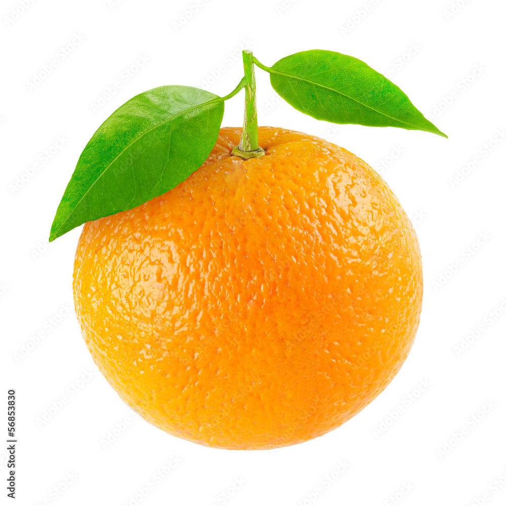 Isolated orange. One fresh orange fruit with leaves isolated on white background