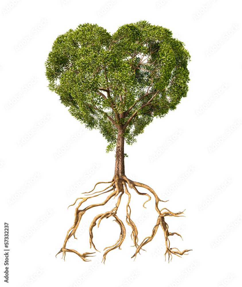 树叶呈心形，根部为文本Lo的树
