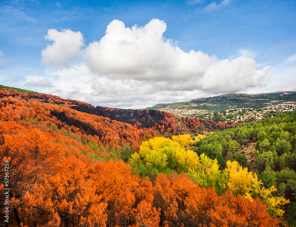 西班牙卡斯蒂利亚-莱昂美丽的秋季景观