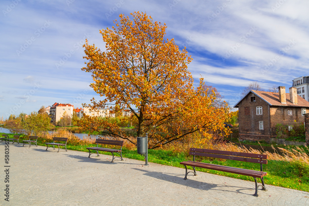 波兰格但斯克市中心带长椅的秋季广场