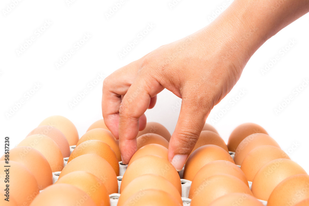 从一盒鸡蛋中挑选最佳鸡蛋的人