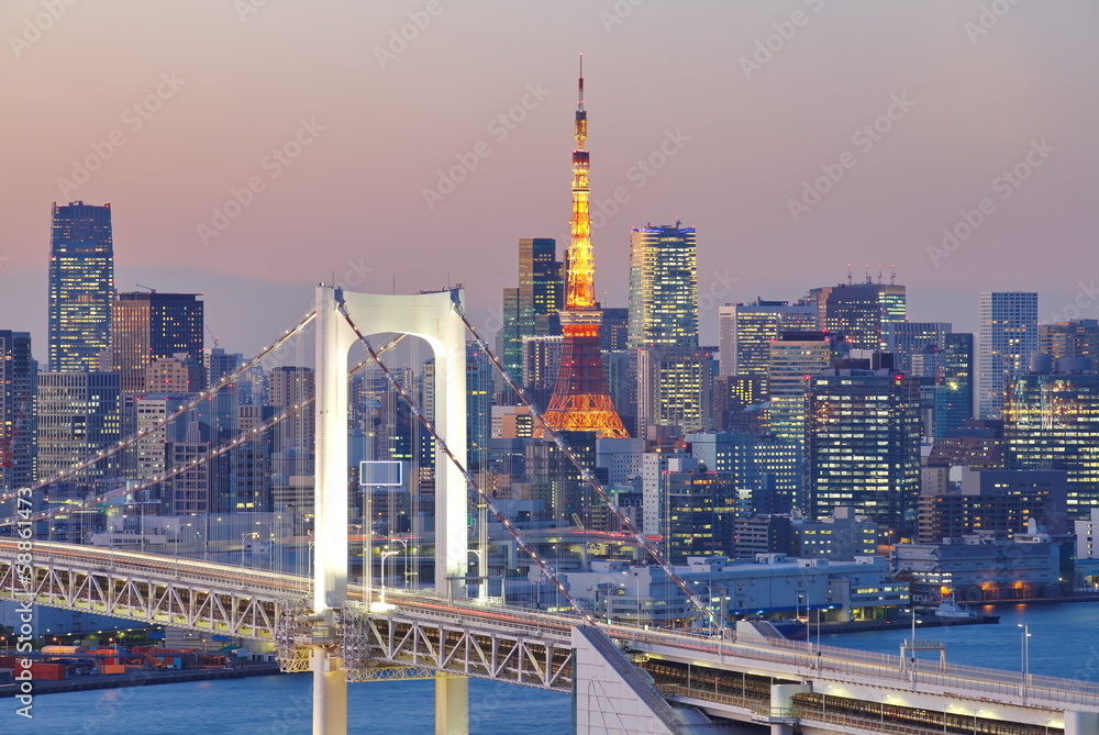 彩虹桥和东京塔的东京湾
