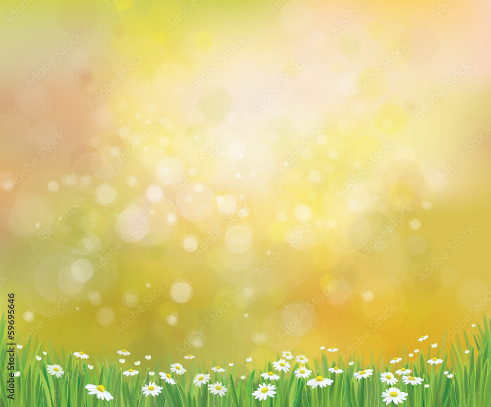 Vector sunshine background with grass and chamomiles.