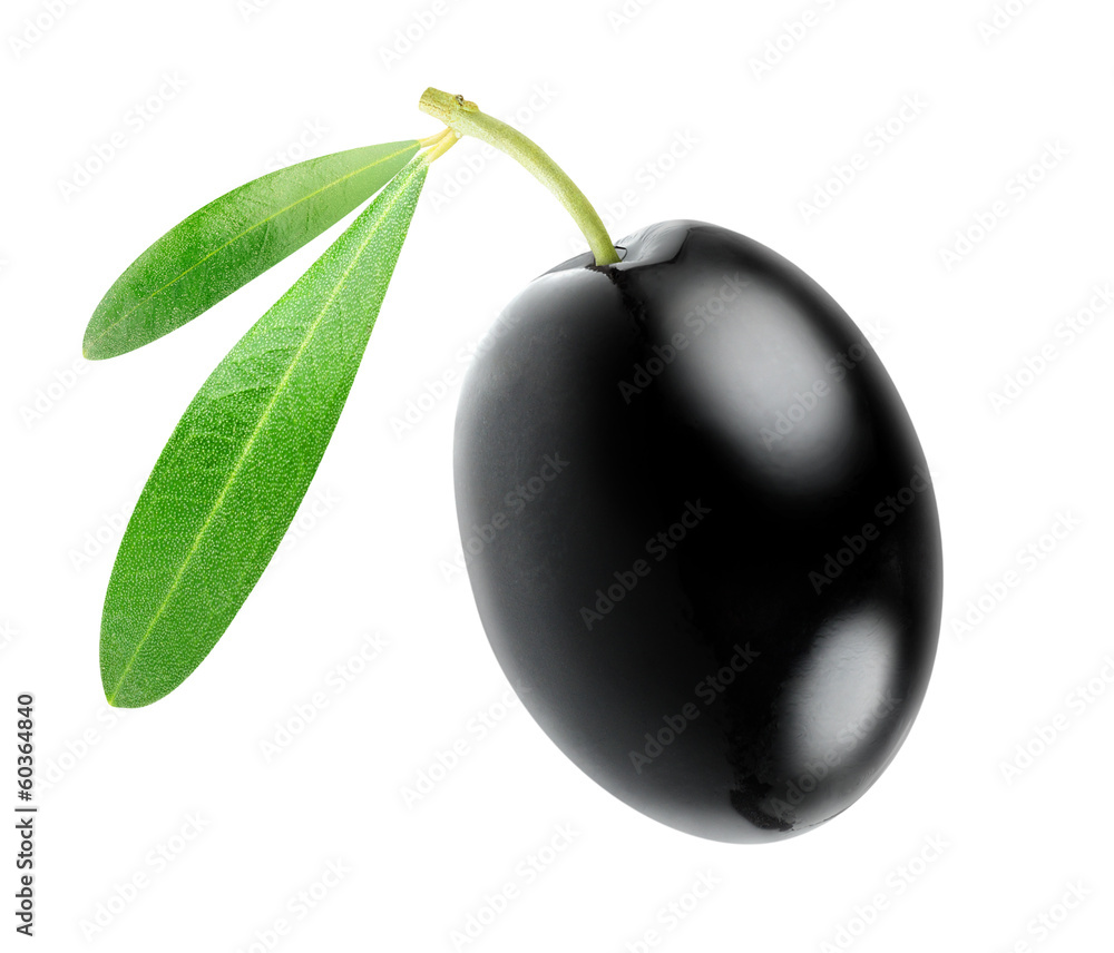 孤立的橄榄。一种黑色橄榄果实，叶子孤立在白色背景上