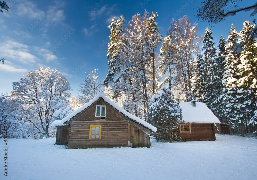 Old houses in snowy forest