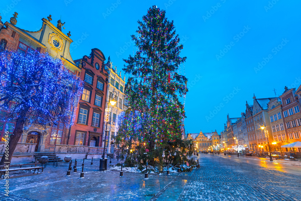波兰格但斯克老城的圣诞树