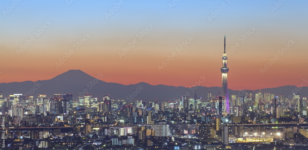 东京城市景观和富士山的东京天树