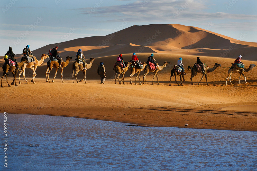 游客大篷车骑着骆驼经过沙漠湖