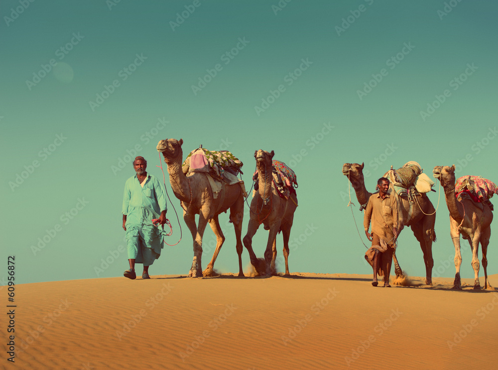 沙漠中骆驼的骆驼——复古风格