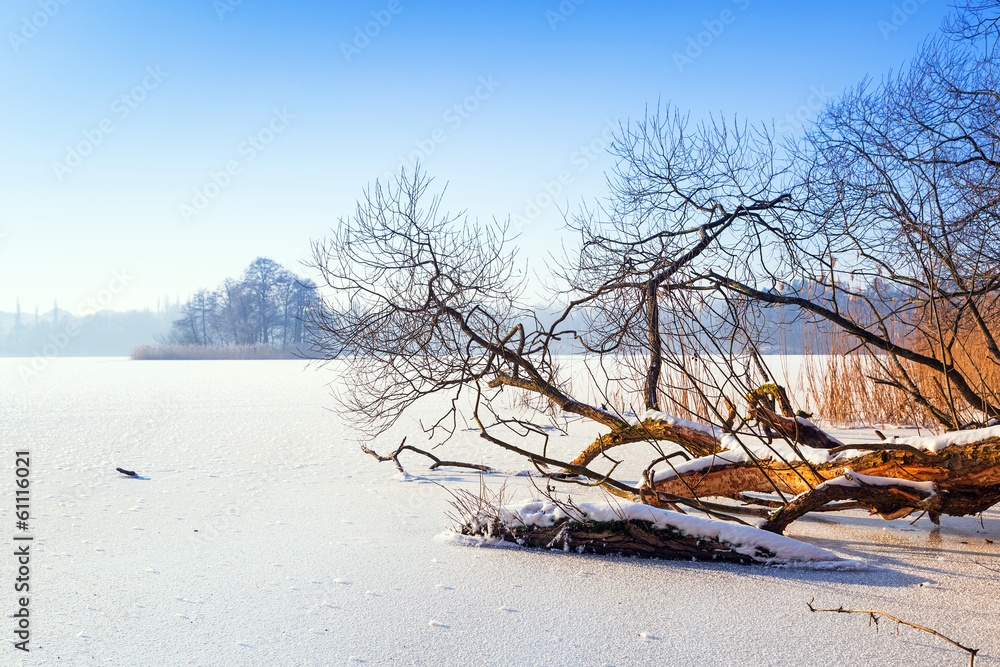 波兰结冰湖泊的冬季风光