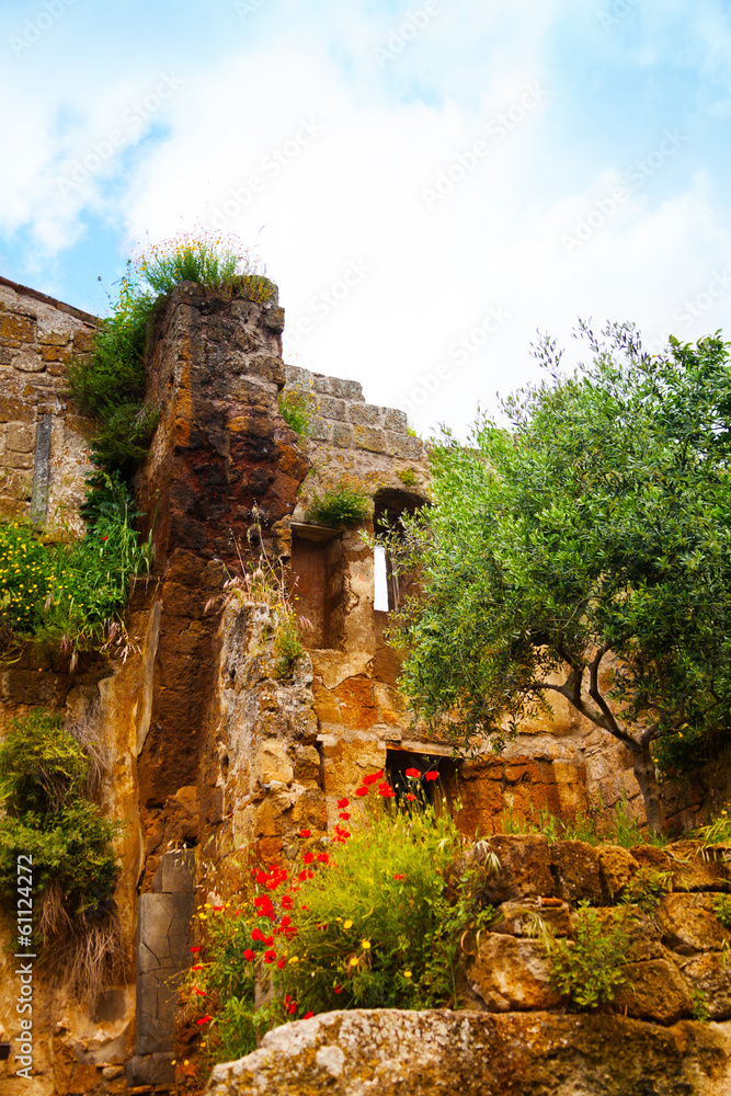 巴诺雷焦的废墟和鲜花