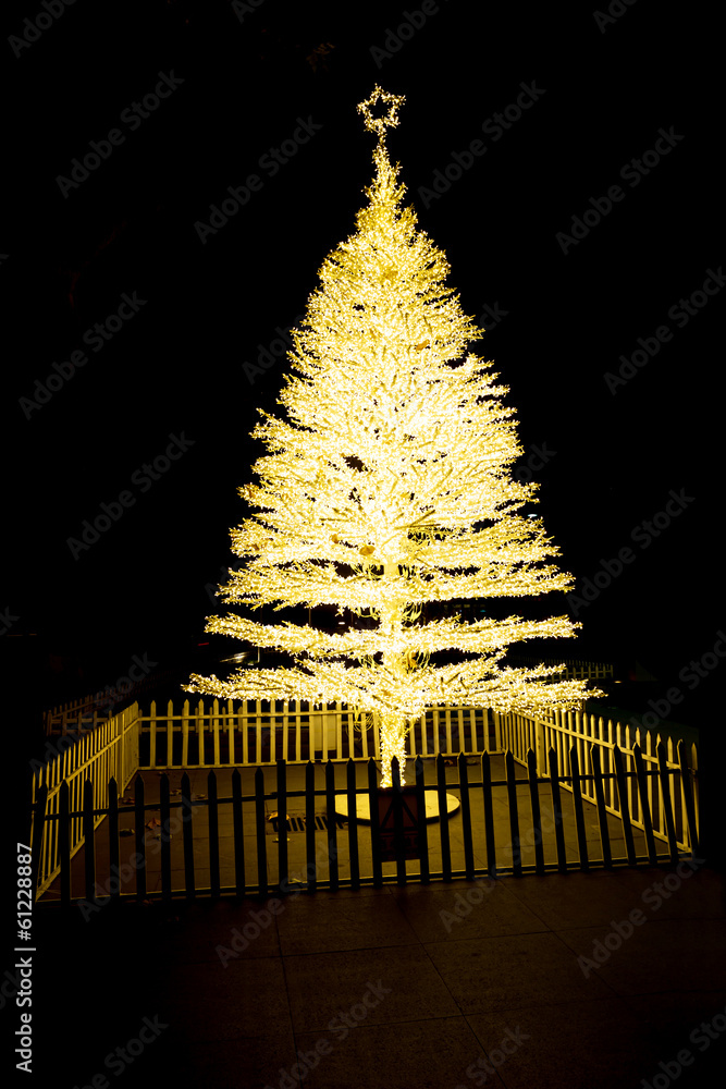 广场上夜晚的圣诞树