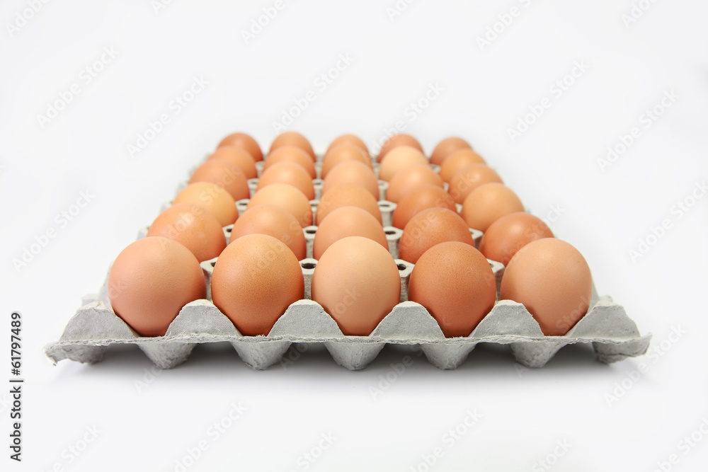 白色隔离纸盘中的鸡蛋