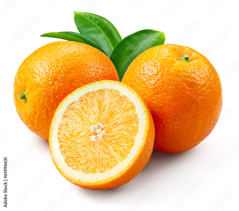 橙色果实，叶片隔离在白色上