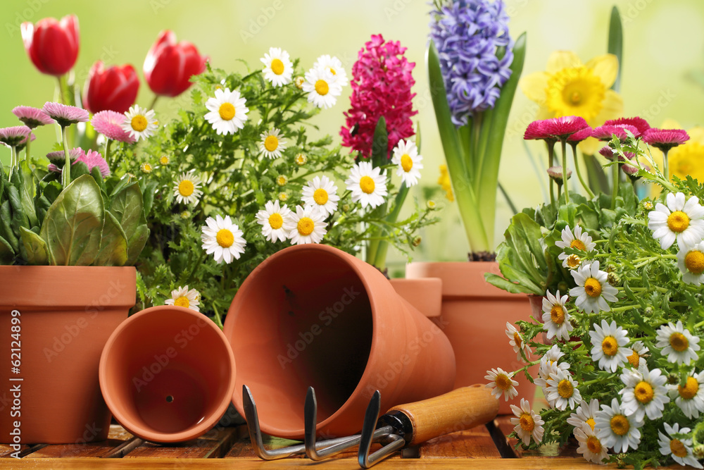 园艺工具和花卉