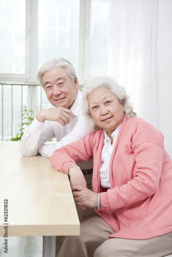 。一对老年夫妇的肖像。