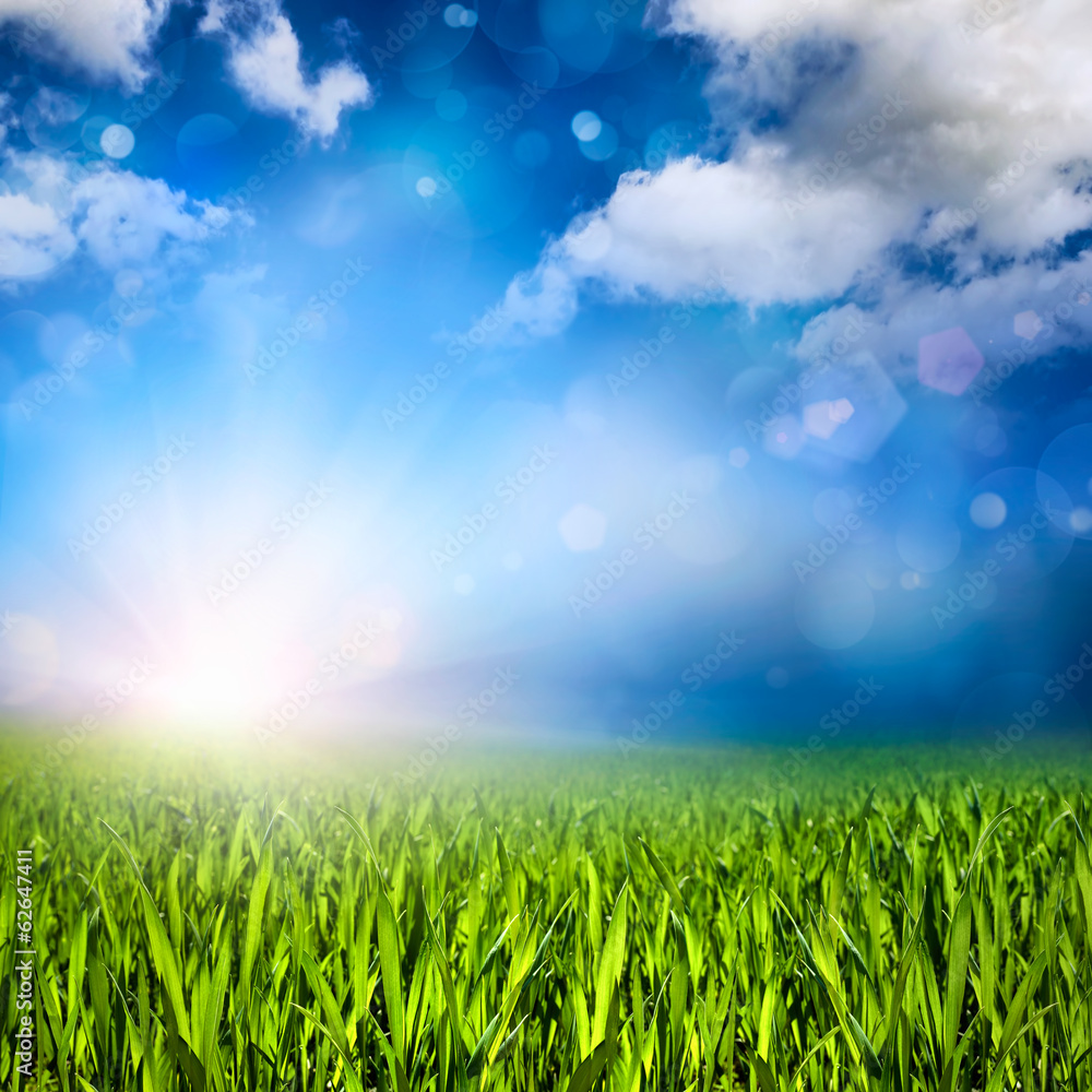 Gras、Sonne、Wolken和Lichtefekte