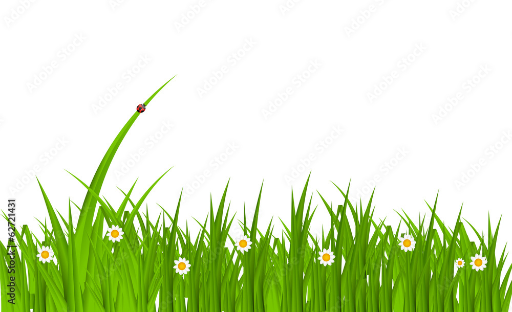 夏季草抽象背景。矢量插图。
