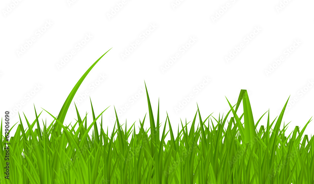 夏季抽象草背景。矢量插图。