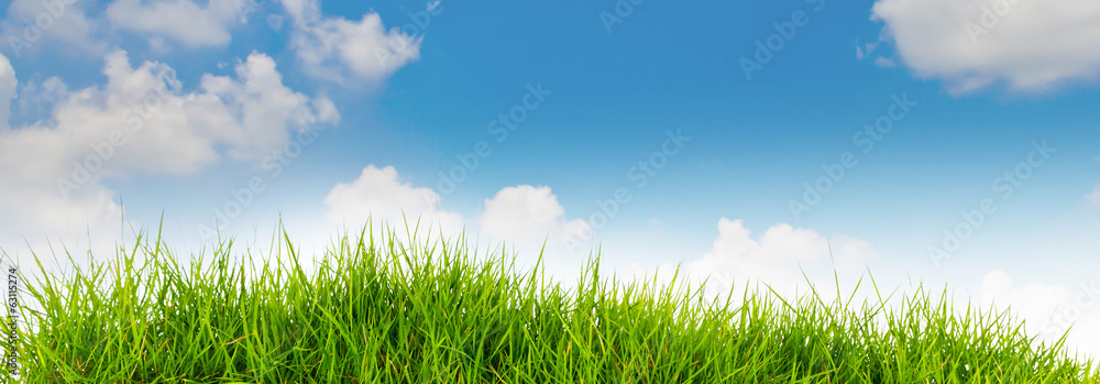 春天的自然背景，后面是草地和蓝天。su