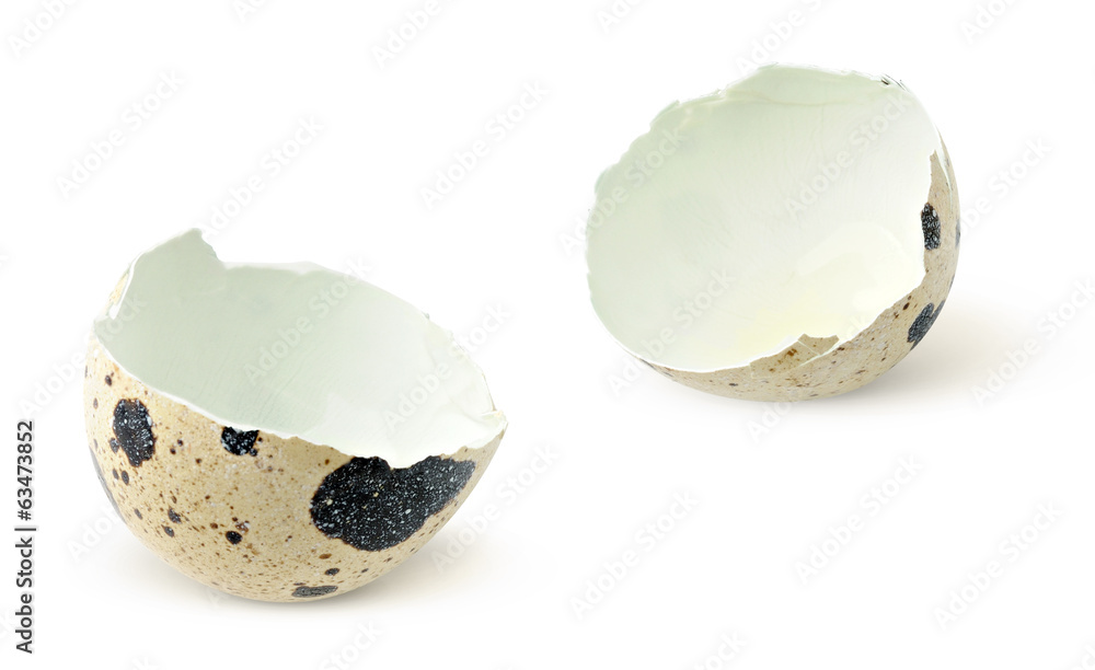 Isolated egg. Quail egg shell broken in halves isolated on white background