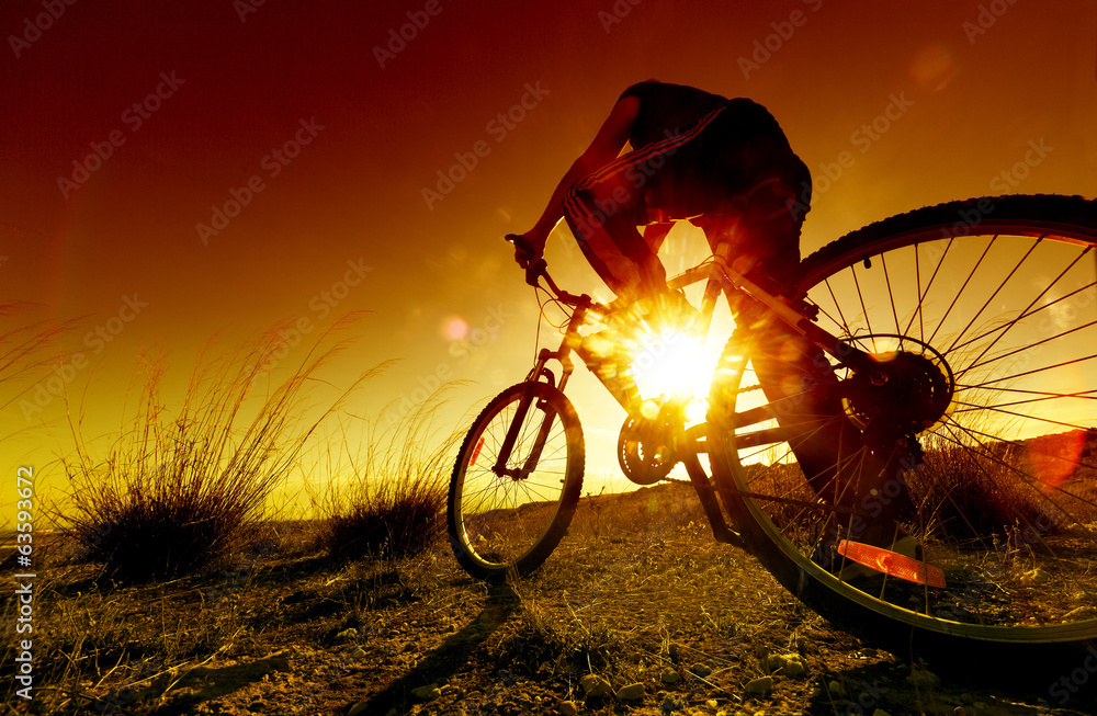 梦幻的日落和健康的生活。田野和自行车