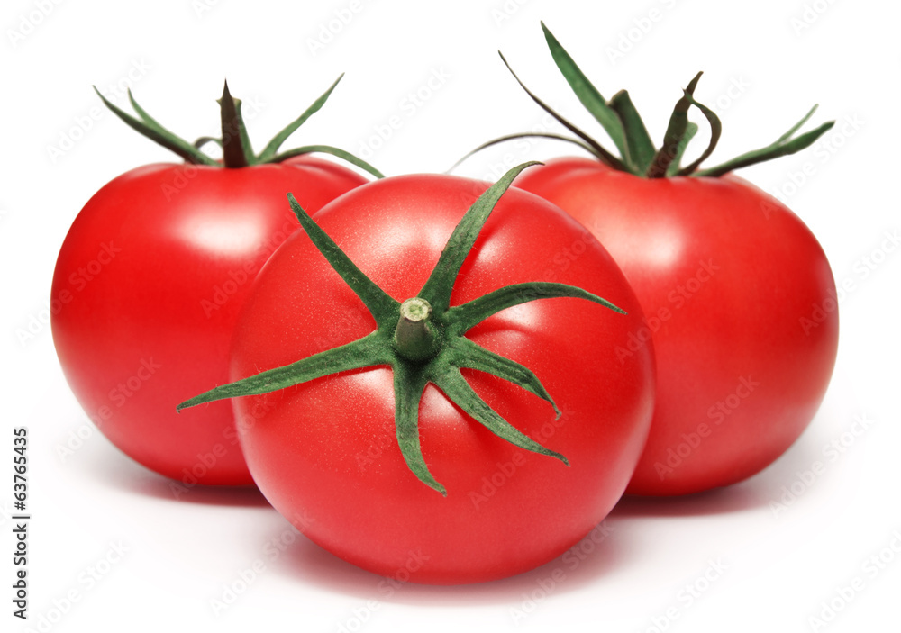 白番茄