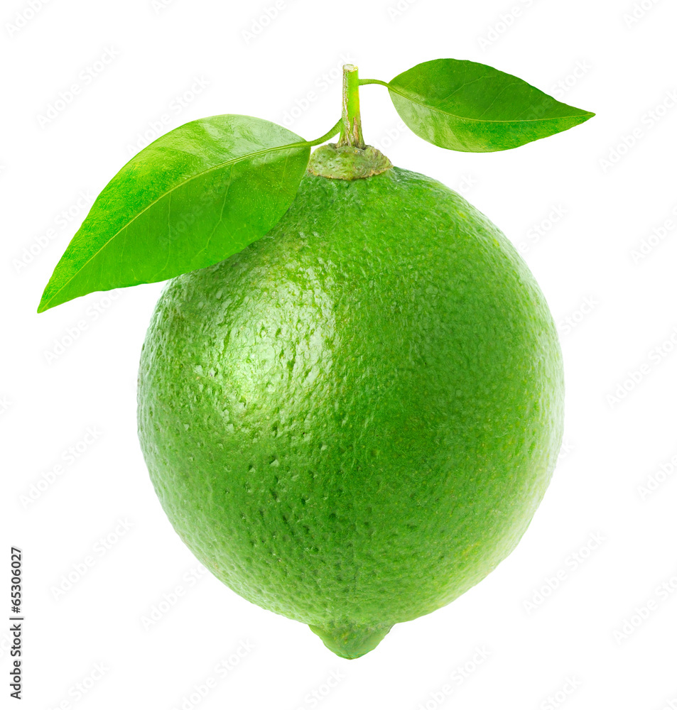 Isolated lime. One fresh lime fruit with leaves isolated on white background
