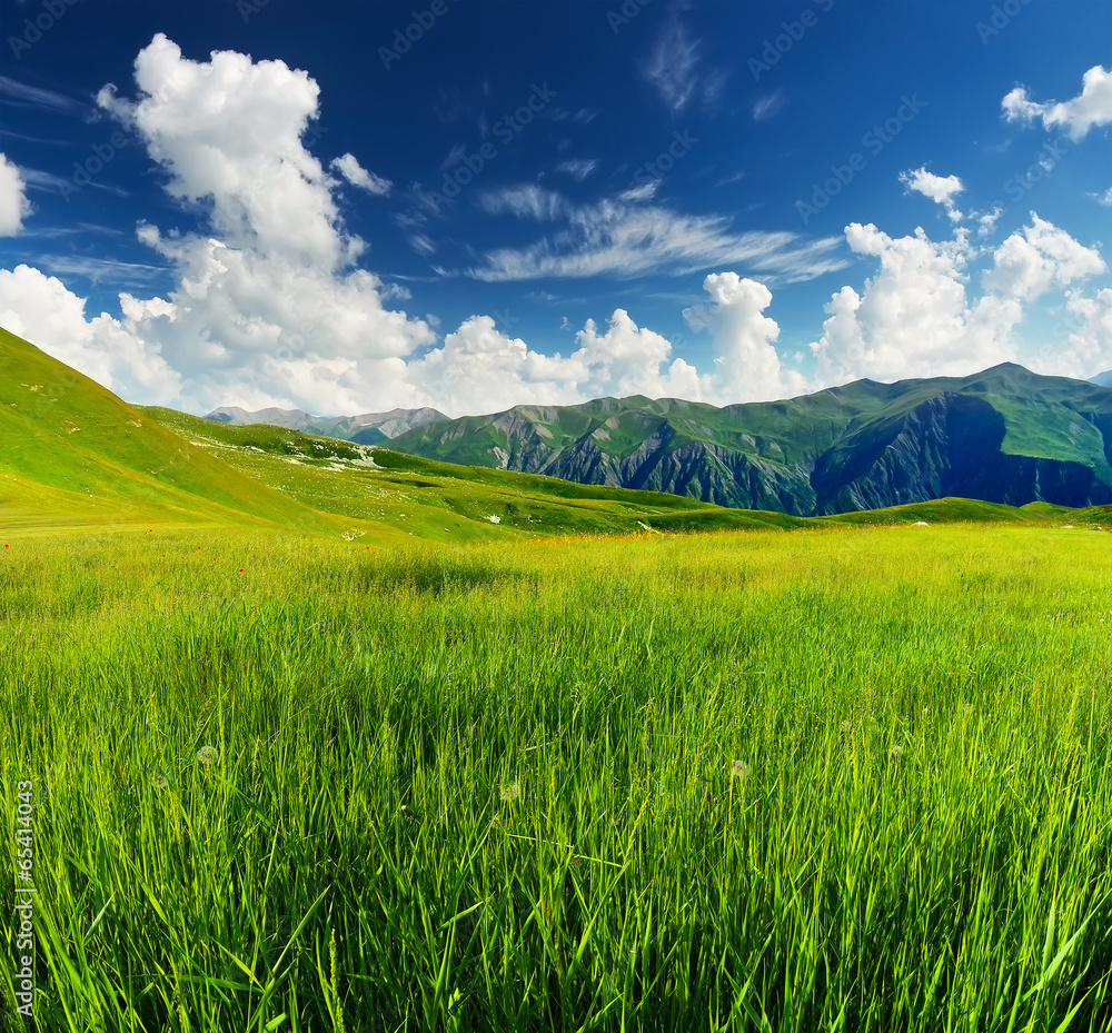Green field in mountain valley. Beautiful summer landscape