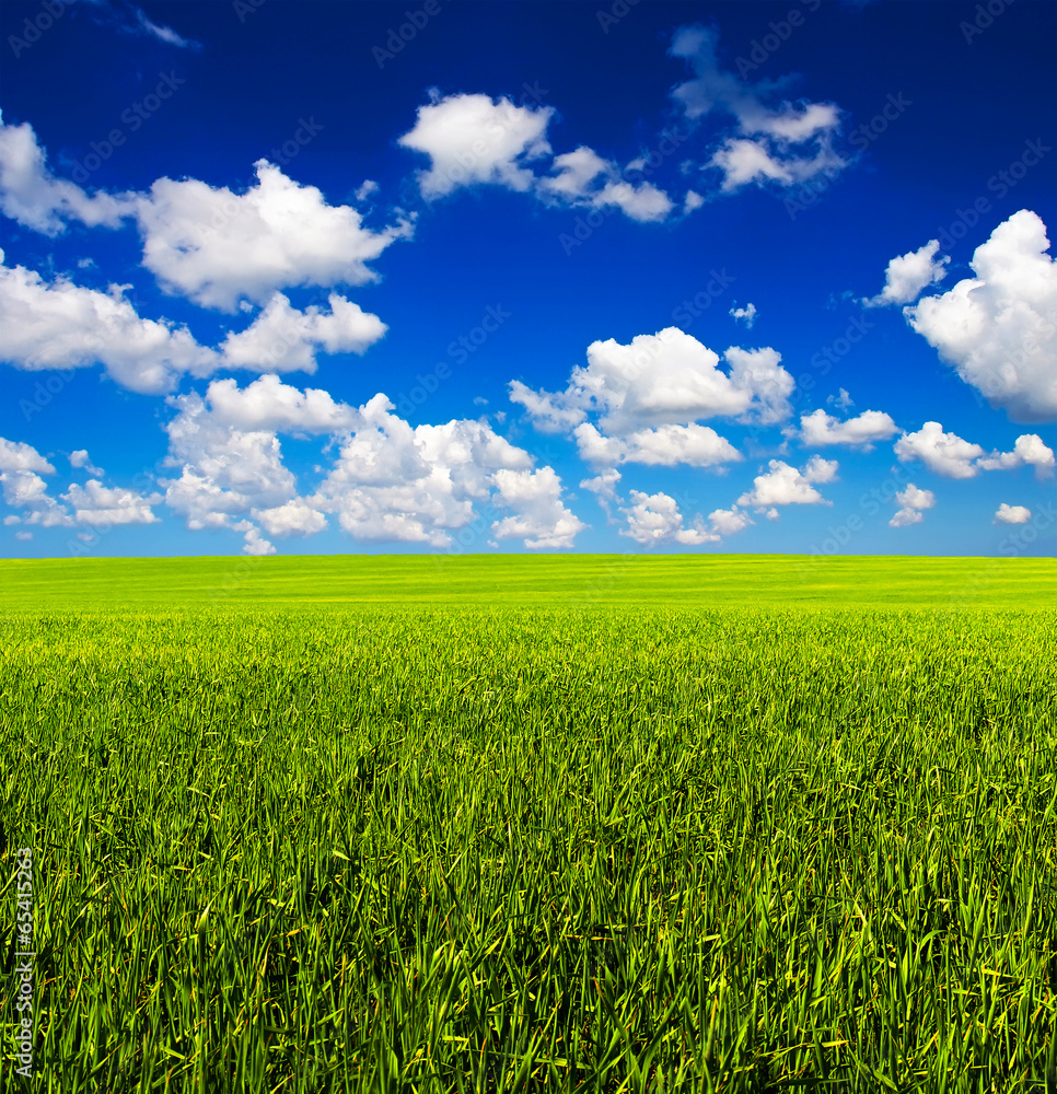 Field and sky with clouds