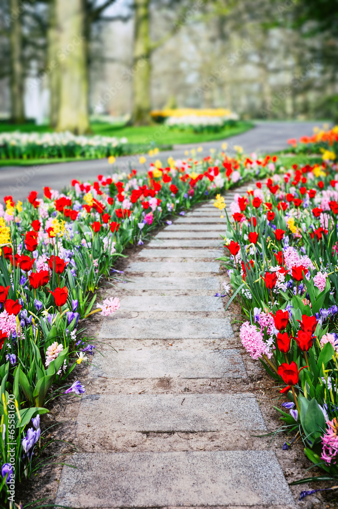 Spring landscape with colorful tulips and hyacinths