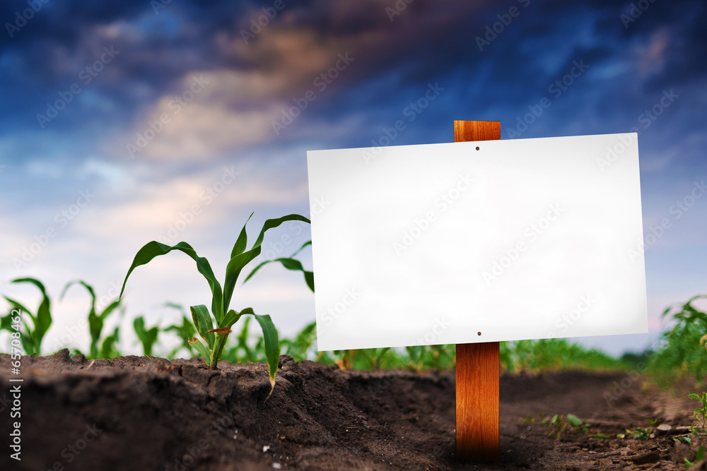 玉米农田空白标志