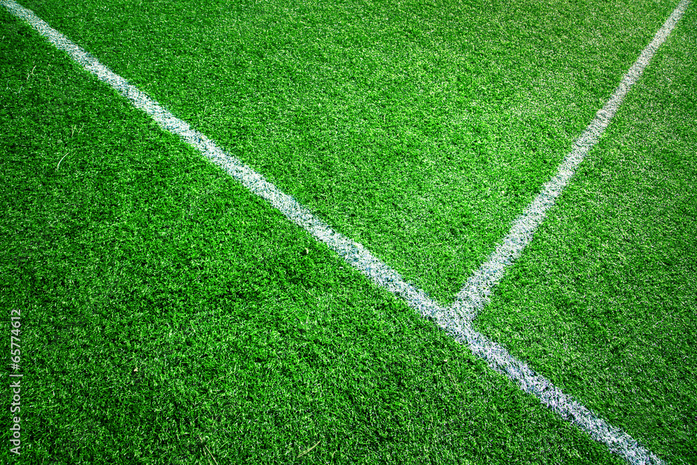 Soccer grass field background