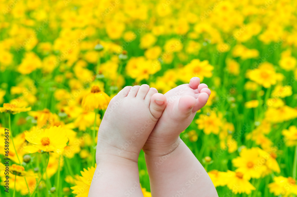 可爱的黄色小雏菊婴儿脚