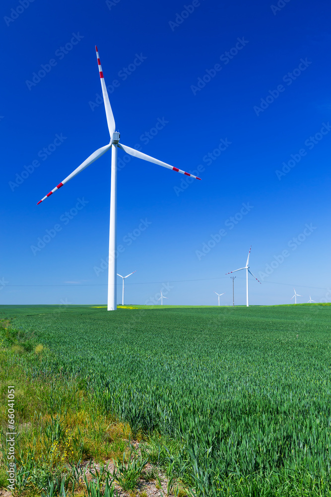 蓝天上夏季草地上的风力涡轮机