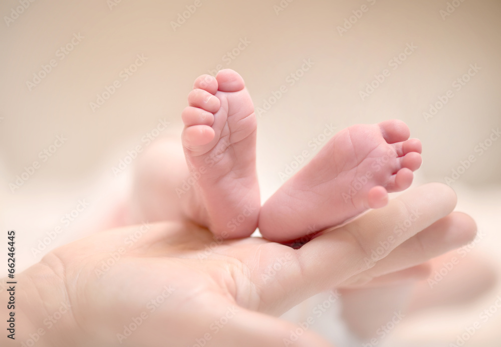 小新生儿的脚放在女性的手上特写