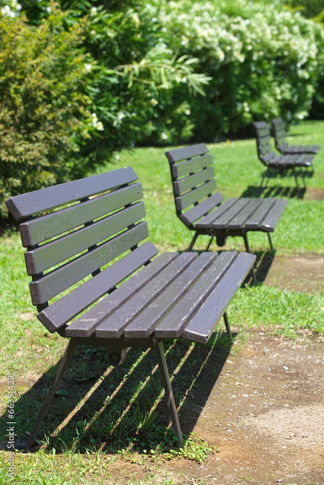公园里夏天的木长椅