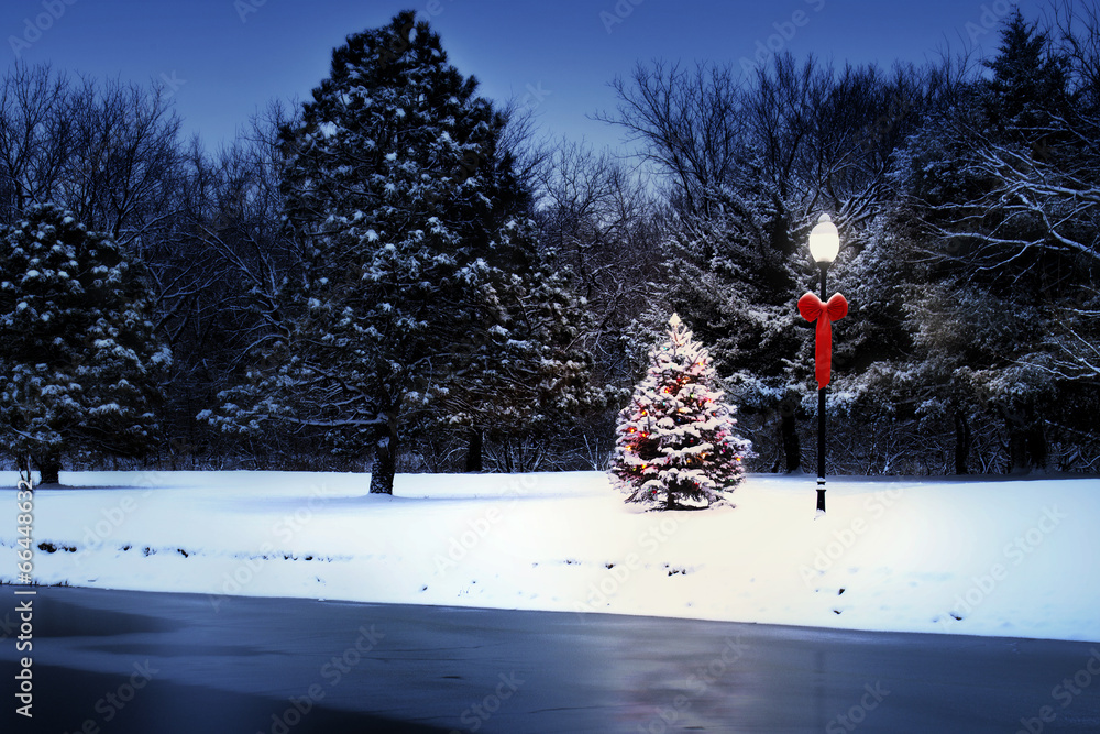 神奇的圣诞树在雪地里闪闪发光