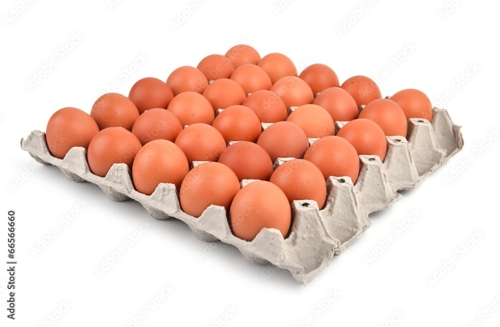 纸盘中的鸡蛋