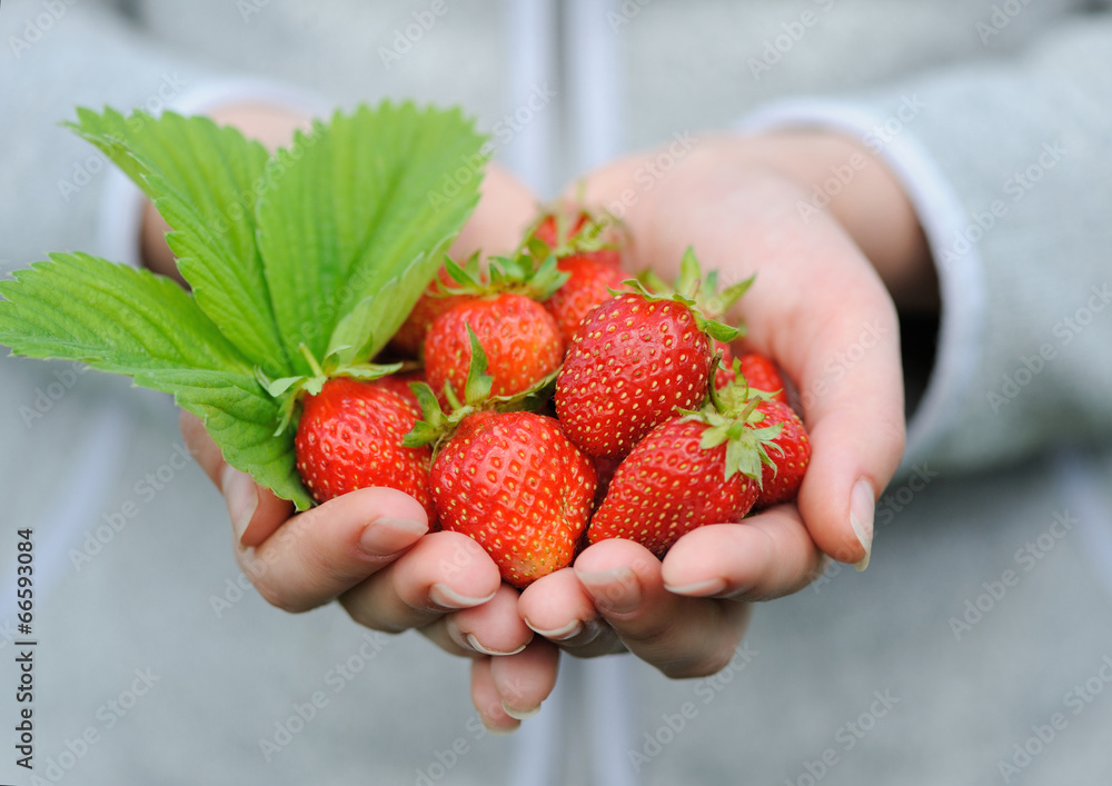 手拿新鲜草莓