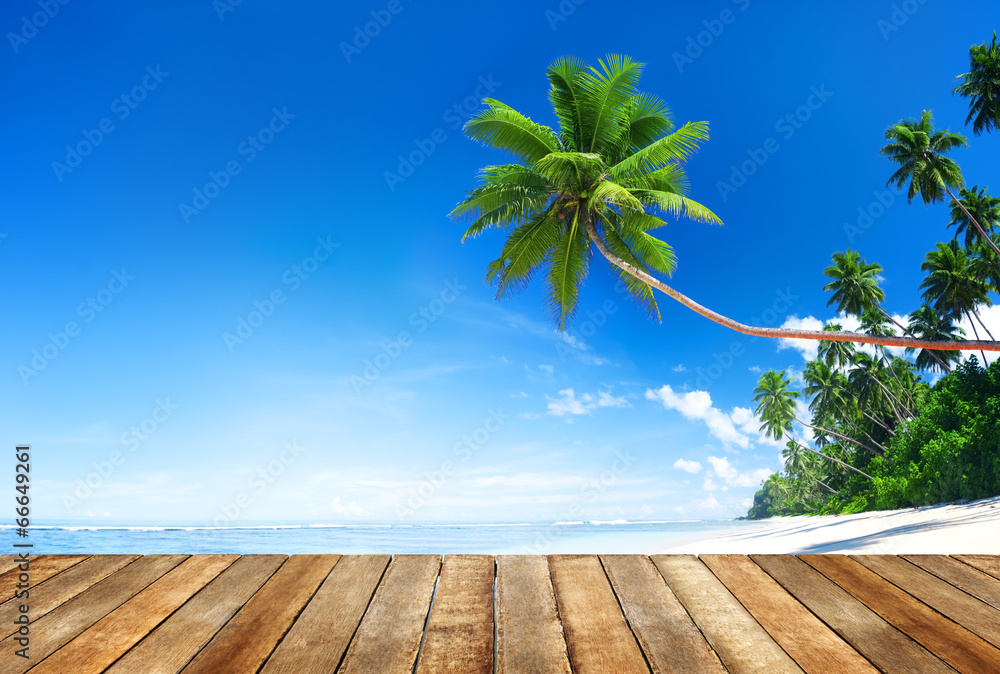 美丽海滩上的木地板