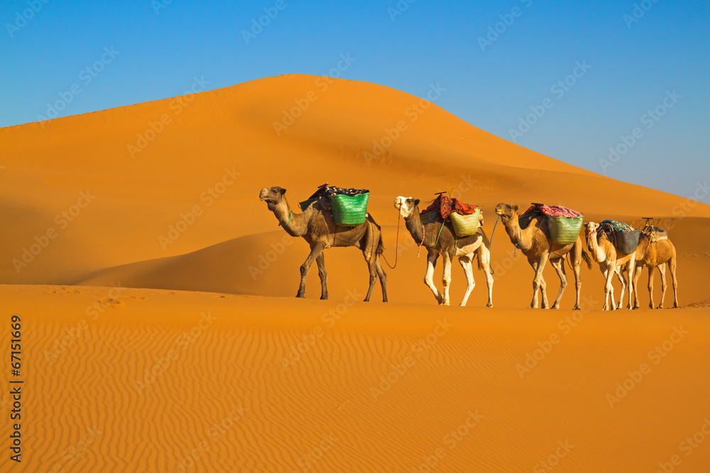 沙漠商队