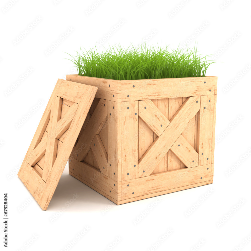 盒子里的绿草