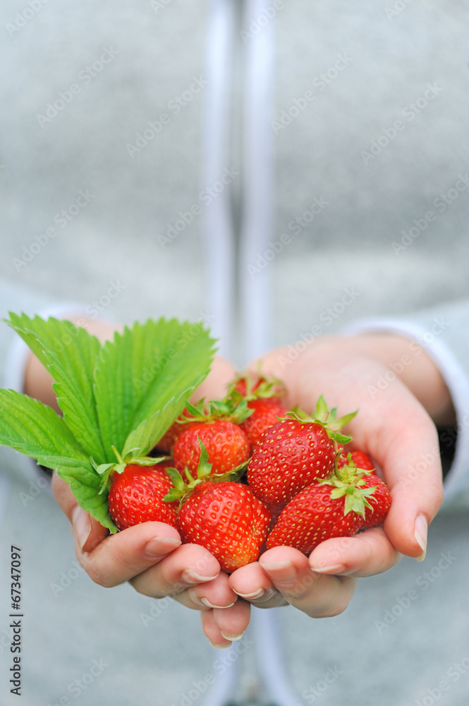 手牵鲜草莓