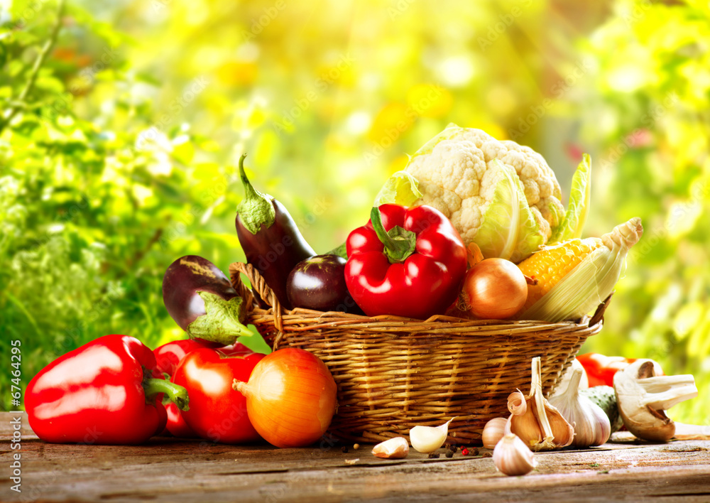 自然背景下篮子里的新鲜有机生物蔬菜