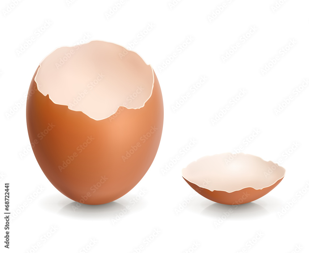 蛋壳，矢量插图