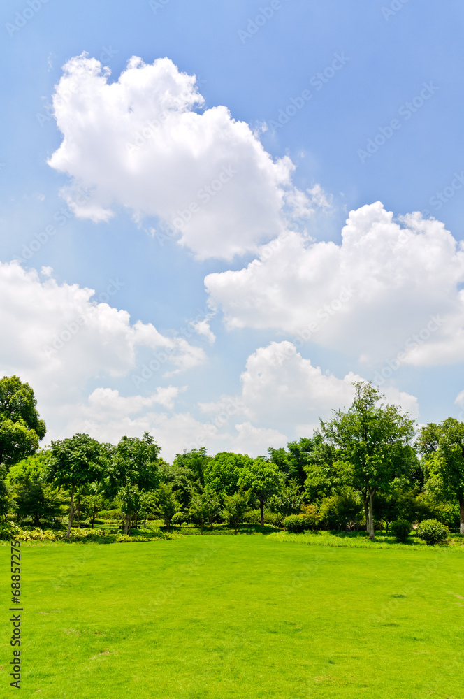 户外草坪，蓝天白云背景