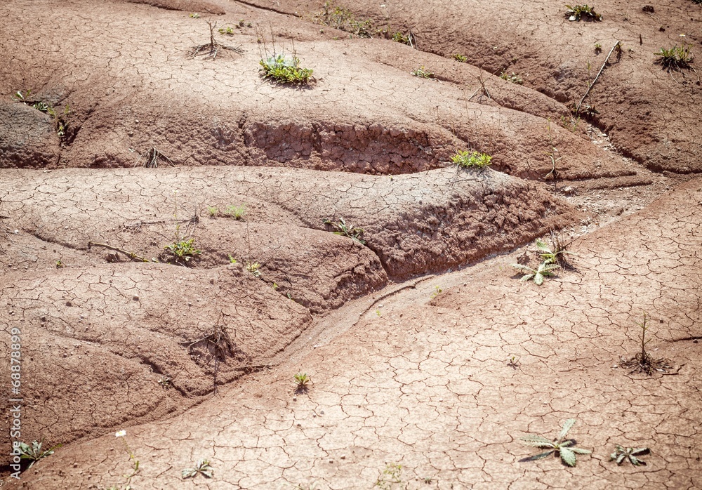 Cracked dry land. Ground without water